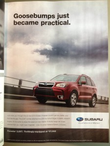 subaru-goosebumps-e1372696800394-225x300